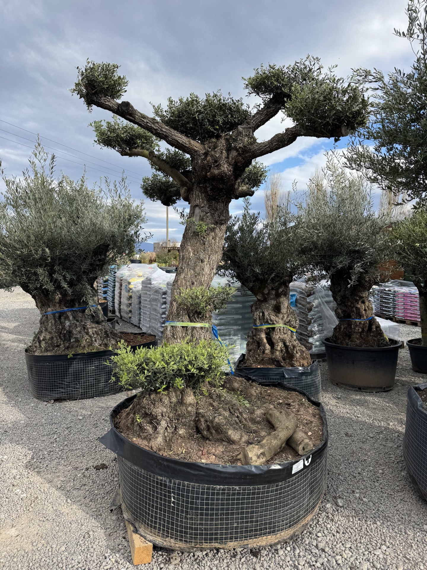 Product image 6548886