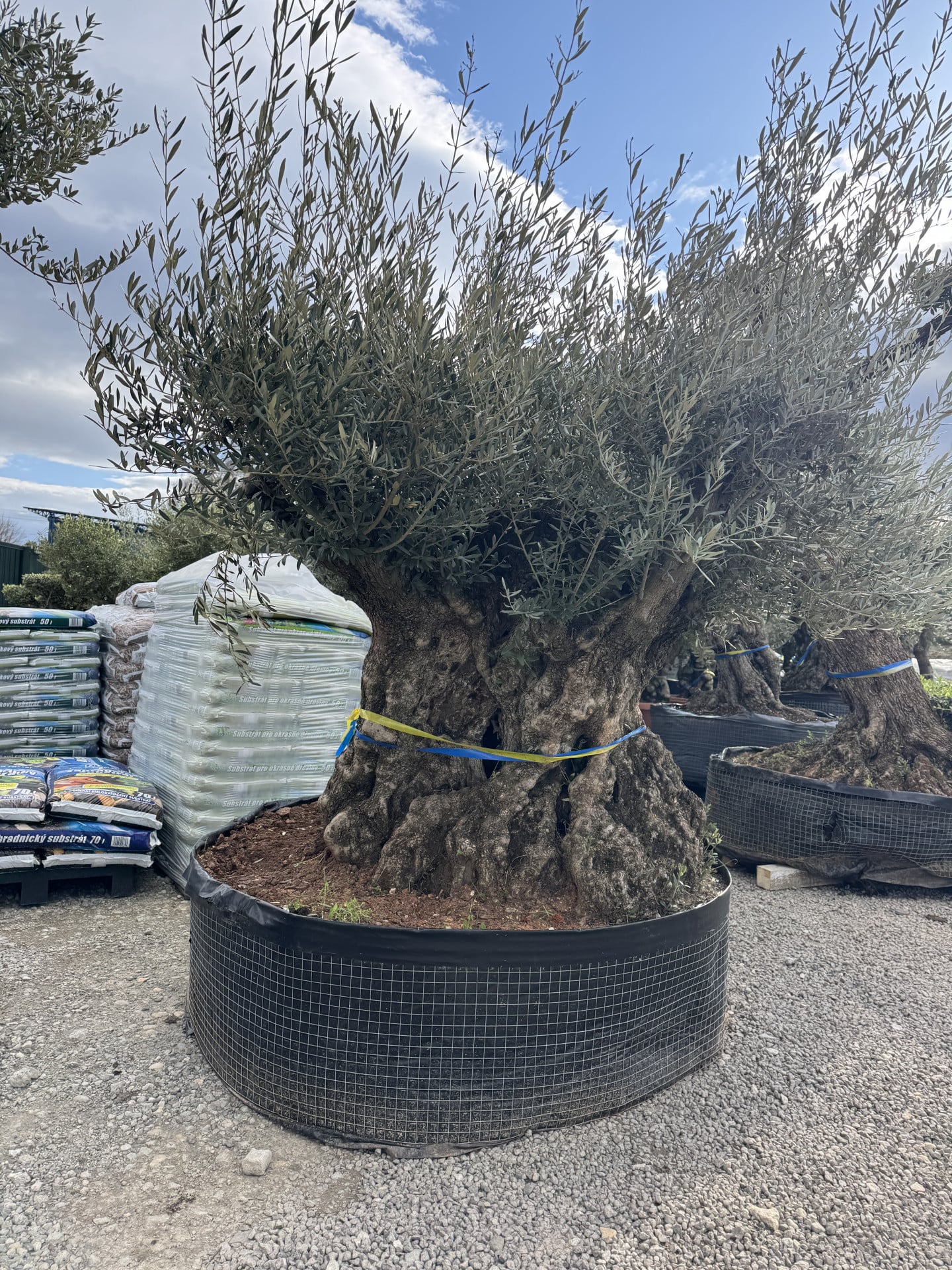 Product image 6548890