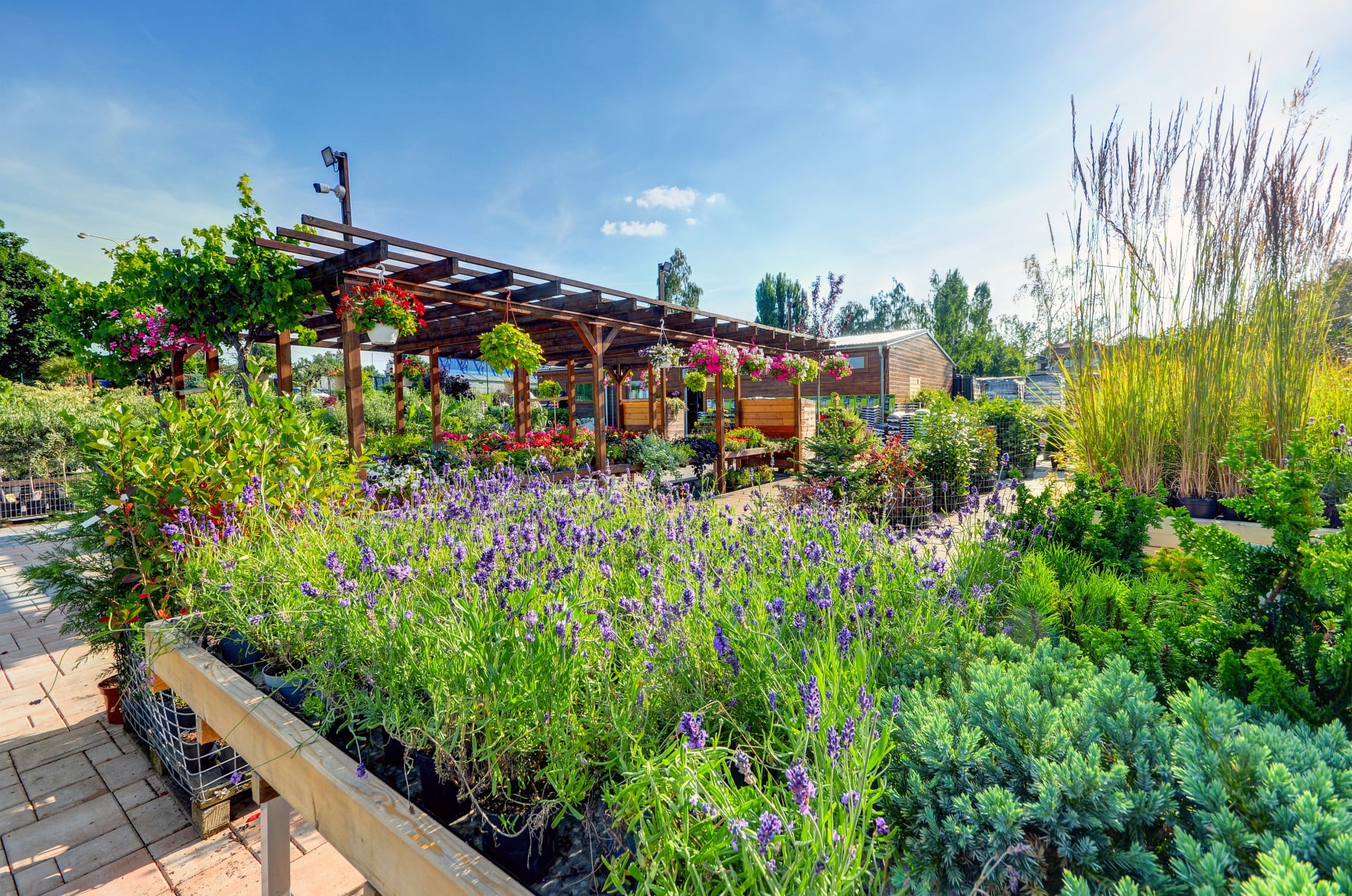 Záhradnícke tipy a novinky - pozadie